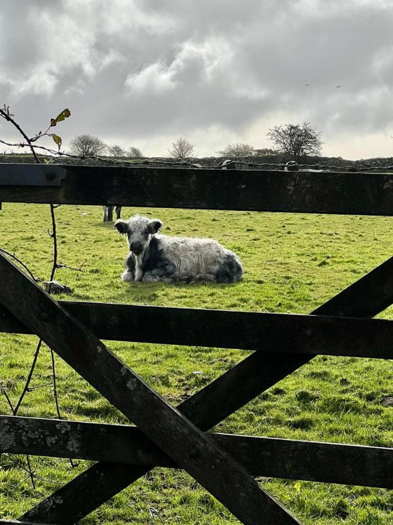 The Old Post House - Historic Dartmoor Home 태비스톡 외부 사진